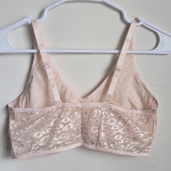 Ruby Ribbon Lace Demiette - Picture 2 of 5